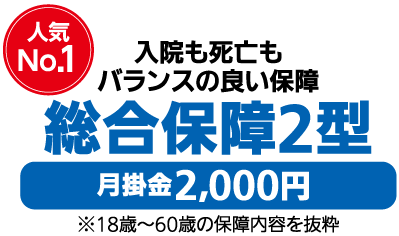 人気No.1　入院も死亡までバランスの良い保障総合保障2型　※18歳～60歳の保障内容を抜粋